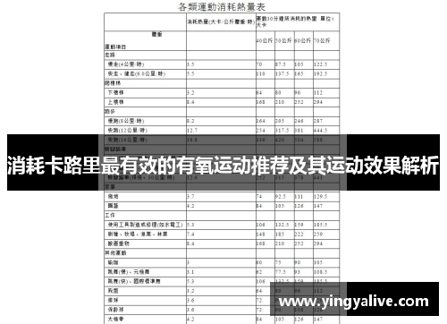 消耗卡路里最有效的有氧运动推荐及其运动效果解析
